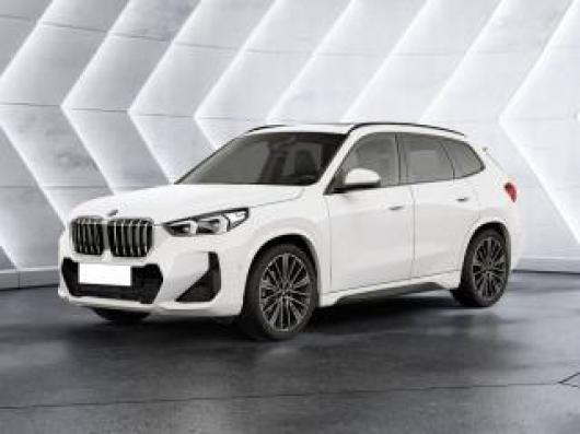usato BMW X1