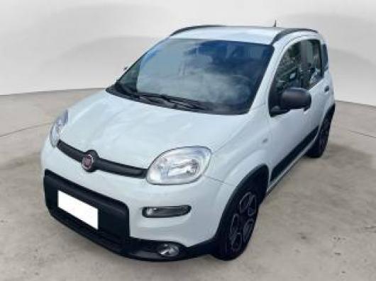 usato FIAT Panda