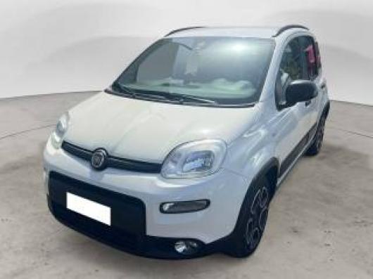 usato FIAT Panda
