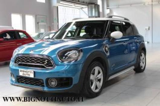 usato MINI Countryman