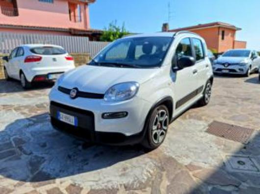 usato FIAT Panda