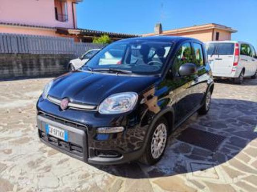 usato FIAT Panda