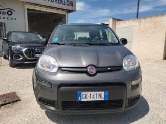 usato FIAT Panda