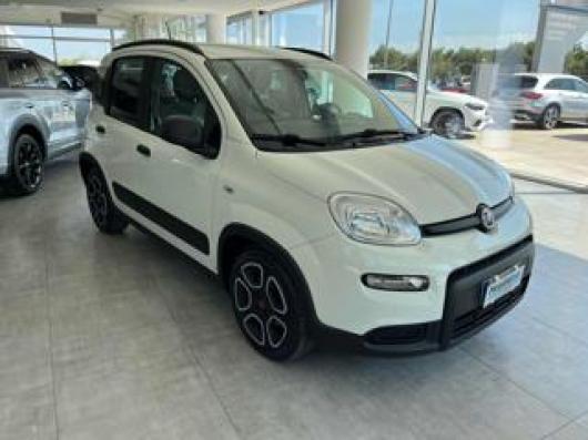 usato FIAT Panda