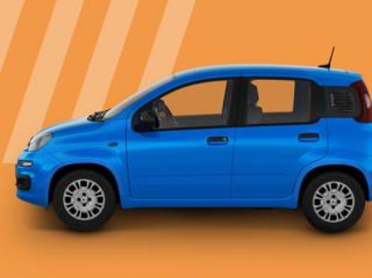 usato FIAT Panda