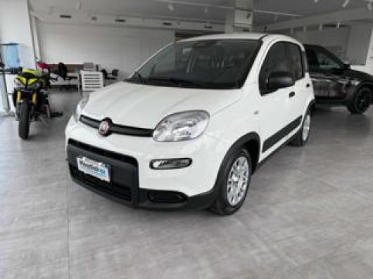 usato FIAT Panda