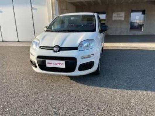 usato FIAT Panda