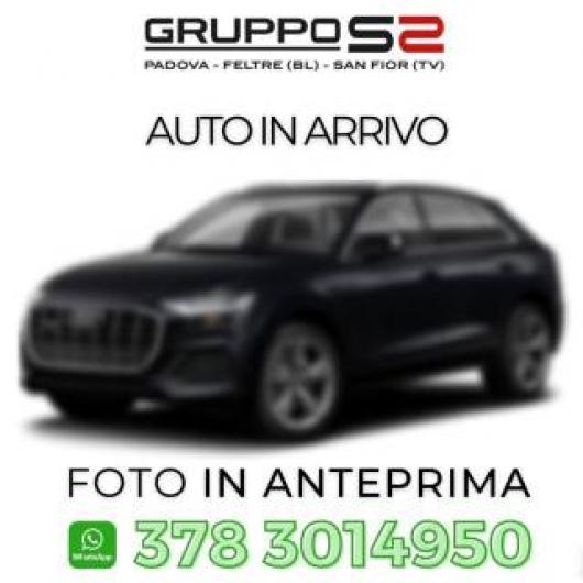 usato AUDI Q8