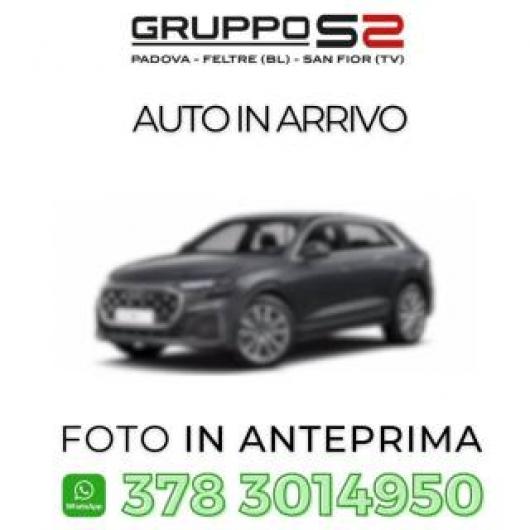 usato AUDI Q8