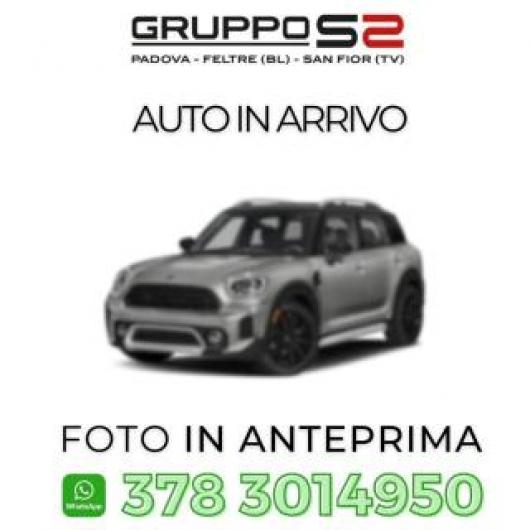 usato MINI Countryman