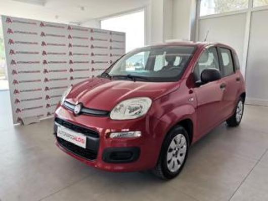 usato FIAT Panda