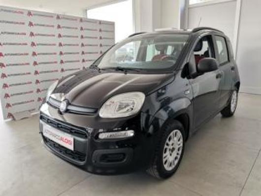 usato FIAT Panda