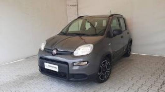 usato FIAT Panda