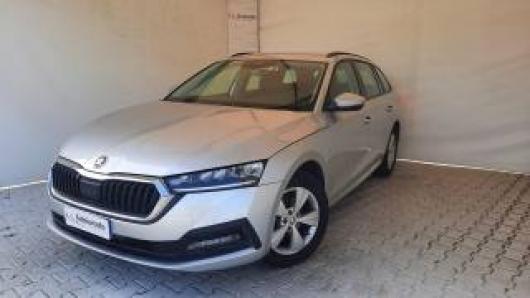 usato SKODA Octavia