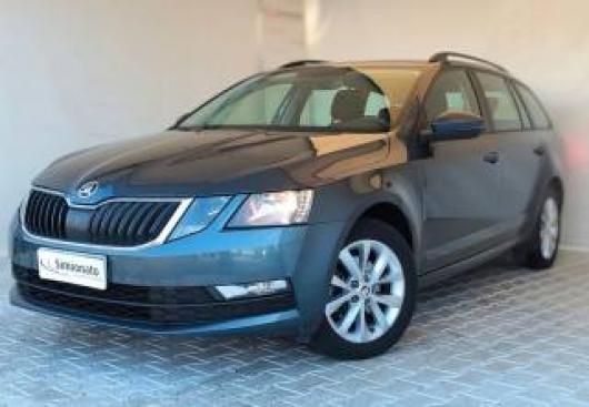 usato SKODA Octavia