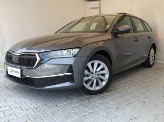 usato SKODA Octavia