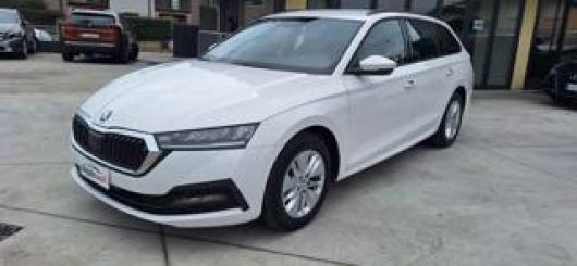 usato SKODA Octavia