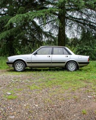 usato PEUGEOT 505
