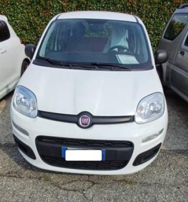 usato FIAT Panda