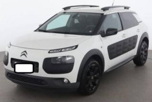 C4 Cactus