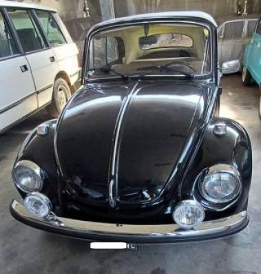 usato VOLKSWAGEN Maggiolino