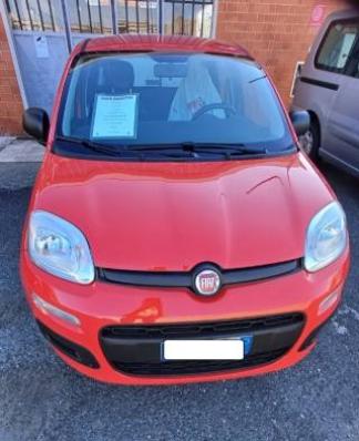 usato FIAT Panda