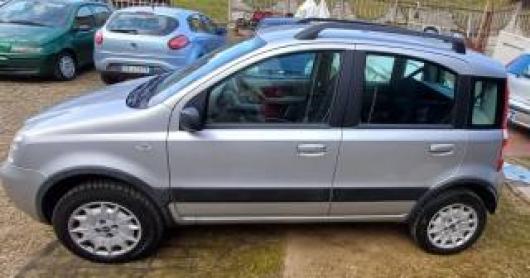usato FIAT Panda