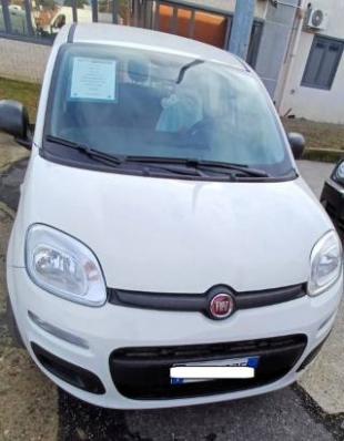 usato FIAT Panda