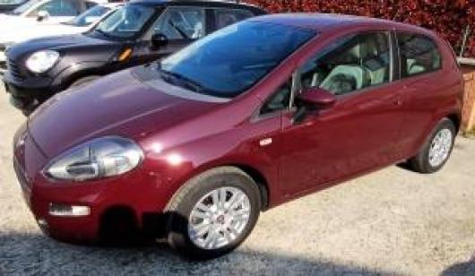 usato FIAT Punto
