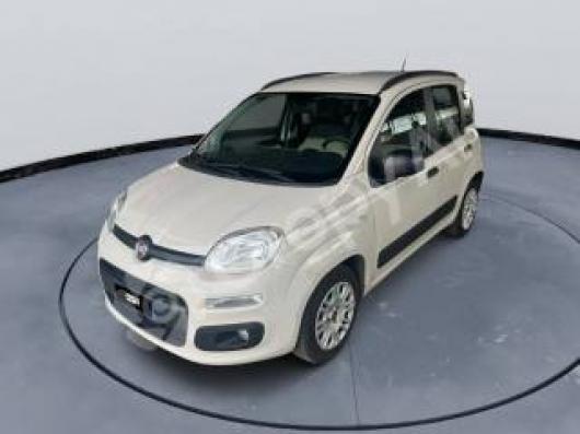 usato FIAT Panda
