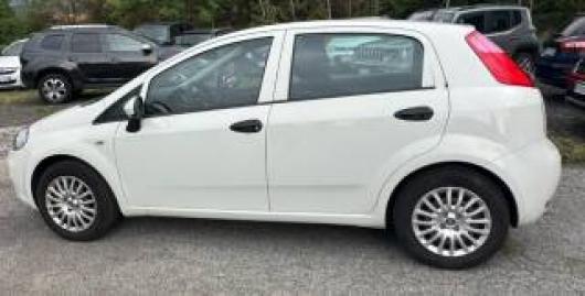 usato FIAT Punto