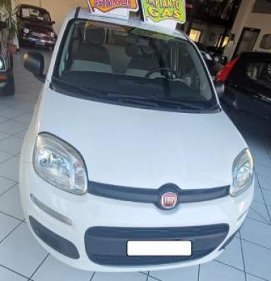 usato FIAT Panda