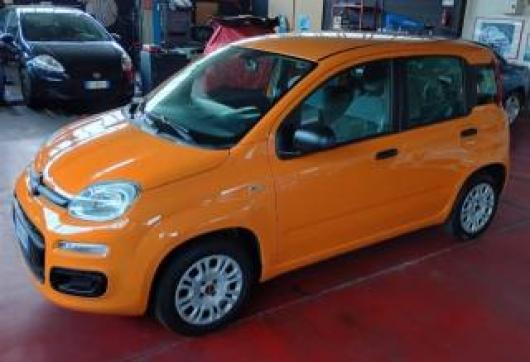 usato FIAT Panda
