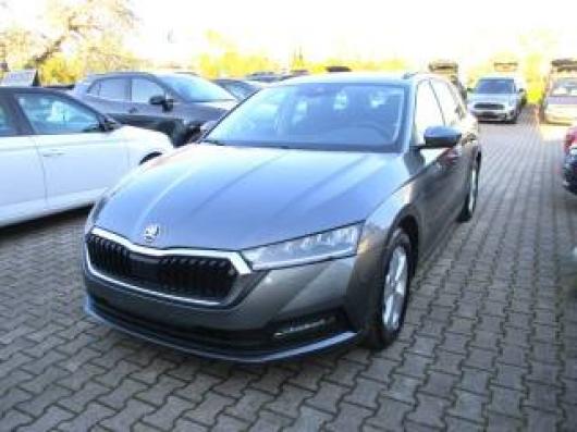 usato SKODA Octavia