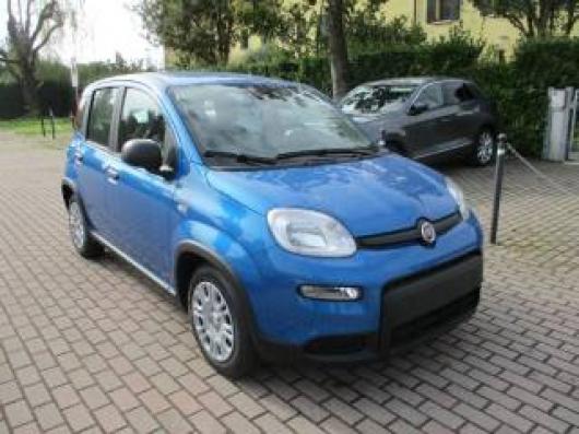 usato FIAT Panda