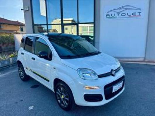 usato FIAT Panda