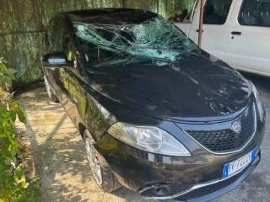 usato LANCIA Ypsilon