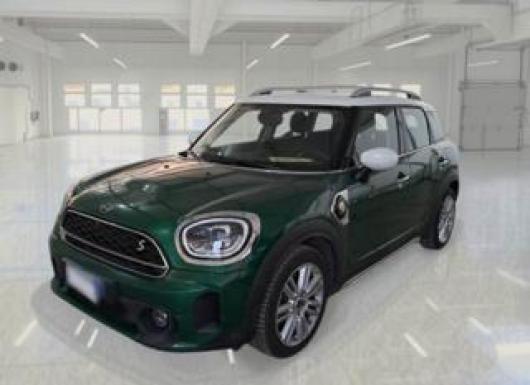 usato MINI Countryman