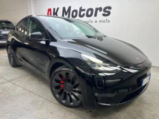 usato TESLA Model Y