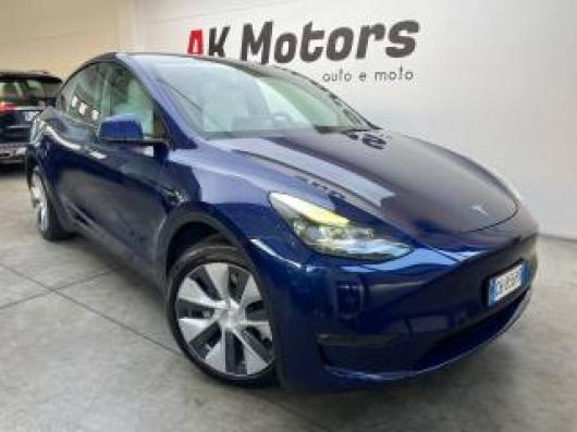 usato TESLA Model Y