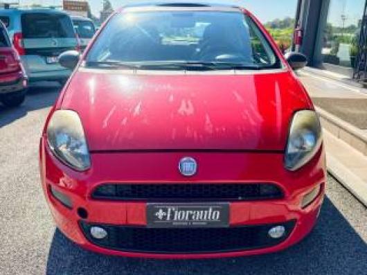 usato FIAT Punto