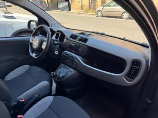 usato FIAT Panda
