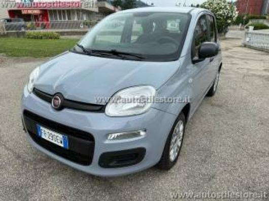 usato FIAT Panda