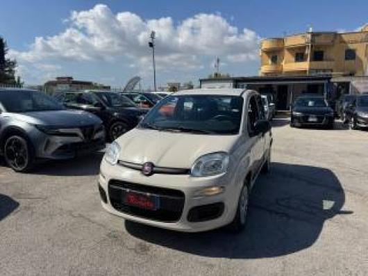 usato FIAT Panda