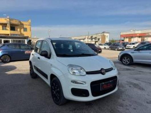 usato FIAT Panda
