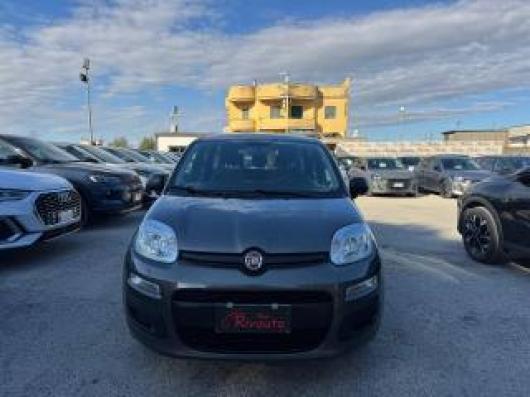 usato FIAT Panda