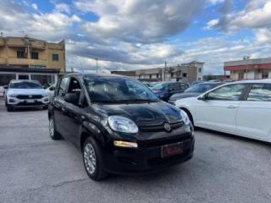 usato FIAT Panda