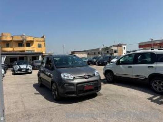 usato FIAT Panda
