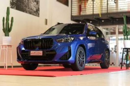 usato BMW X1