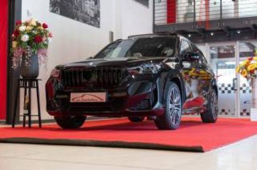 usato BMW X1